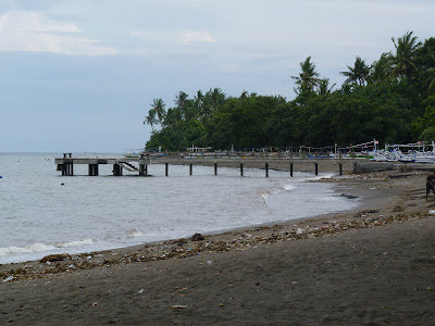 Black sand beach